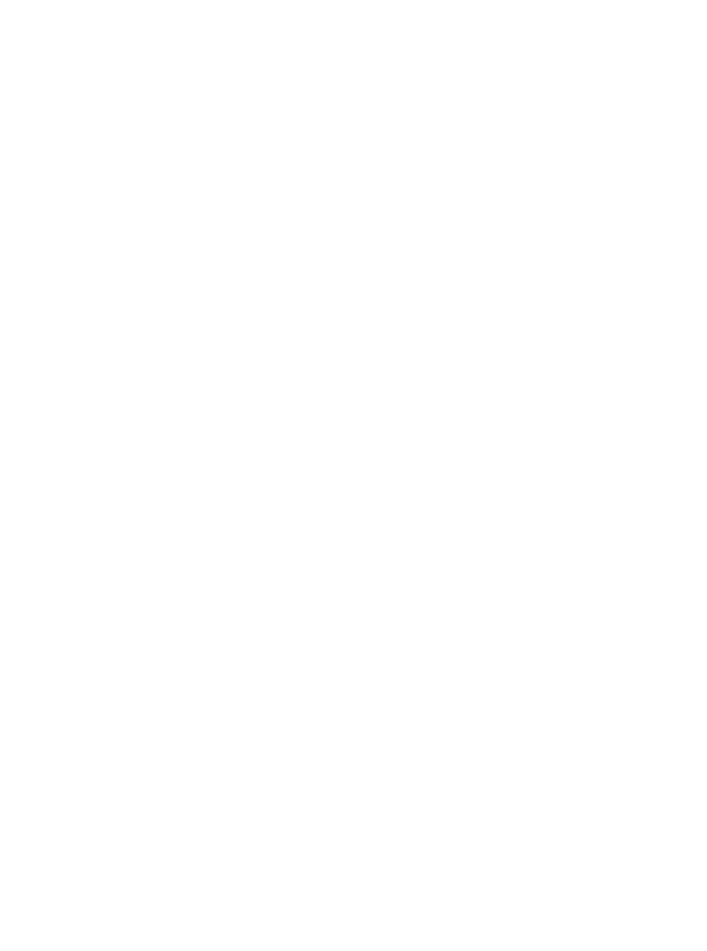 Daniel Velez Footer Logo
